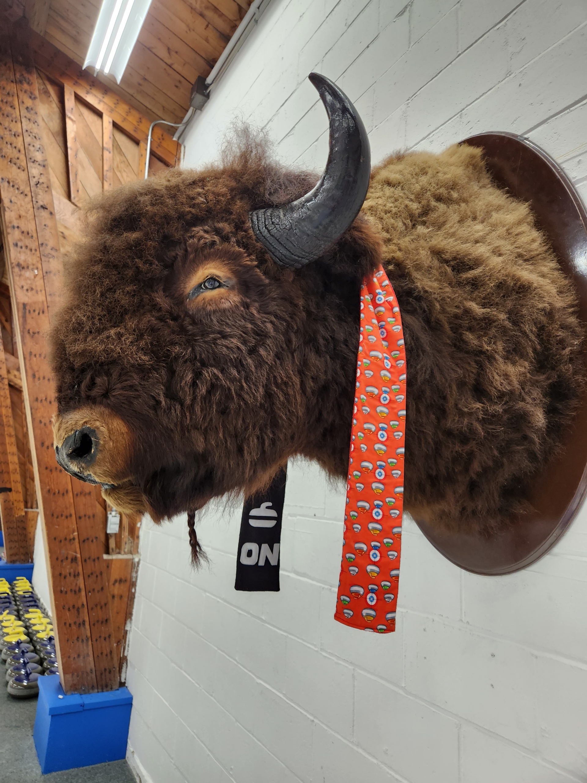 Gaston mascot